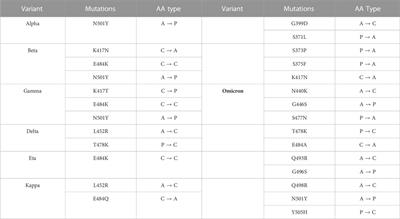 Differences in the organization of interface residues tunes the stability of the SARS-CoV-2 spike-ACE2 complex